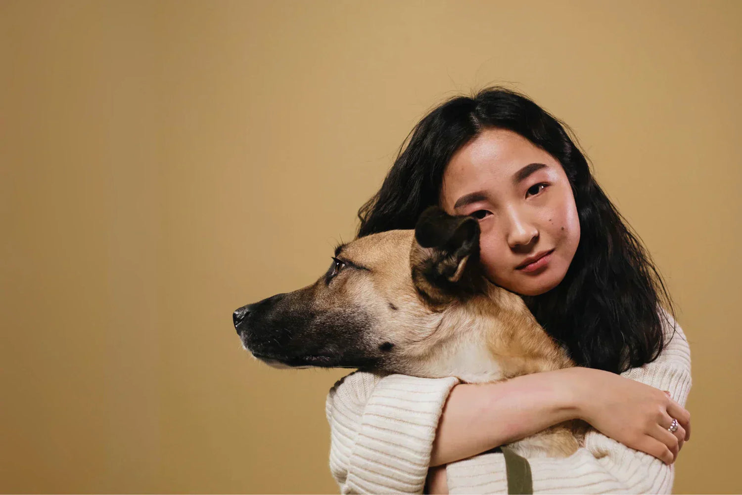 Bindungstraining zwischen Mensch und Hund – emotionale Nähe und gegenseitiges Vertrauen.