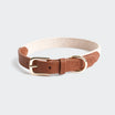 Hundehalsband Light Braun aus Echtleder und beigefarbenem Stoff mit eingeprägtem „SILENA“ Logo und goldenen Metallelementen.