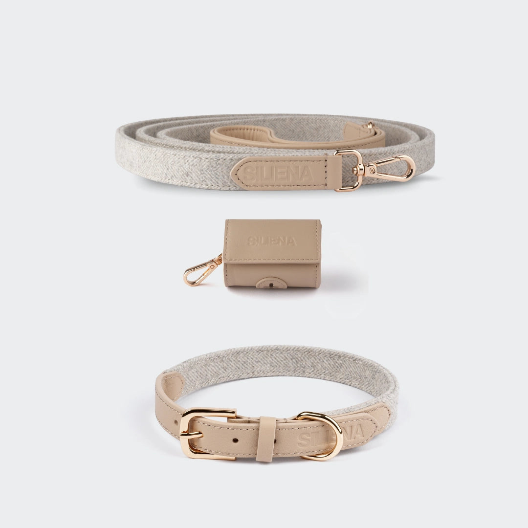 Hundeset Light Beige bestehend aus Leine und Halsband mit geprägtem Logo und goldenen Metallteilen.